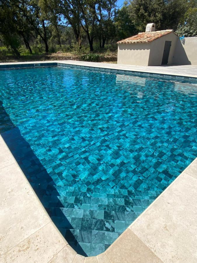 Magnifique Avec Piscine Au Coeur Des Vignes Villa